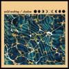 WILD NOTHING / Shadow (7