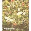 WALLFLOWER / Filled With Flowers (CDEP)<img class='new_mark_img2' src='https://img.shop-pro.jp/img/new/icons50.gif' style='border:none;display:inline;margin:0px;padding:0px;width:auto;' />