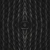 PHOSPHOR / Youth & Immortality (LP)<img class='new_mark_img2' src='https://img.shop-pro.jp/img/new/icons50.gif' style='border:none;display:inline;margin:0px;padding:0px;width:auto;' />