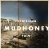 MUDHONEY / Vanishing Point (LP)<img class='new_mark_img2' src='https://img.shop-pro.jp/img/new/icons50.gif' style='border:none;display:inline;margin:0px;padding:0px;width:auto;' />
