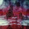 PUCE MOMENT / S/T (2LP)<img class='new_mark_img2' src='https://img.shop-pro.jp/img/new/icons50.gif' style='border:none;display:inline;margin:0px;padding:0px;width:auto;' />