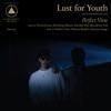 LUST FOR YOUTH / Perfect View (LP)<img class='new_mark_img2' src='https://img.shop-pro.jp/img/new/icons50.gif' style='border:none;display:inline;margin:0px;padding:0px;width:auto;' />