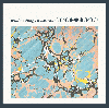WILD NOTHING / Nocturne (LP)<img class='new_mark_img2' src='https://img.shop-pro.jp/img/new/icons50.gif' style='border:none;display:inline;margin:0px;padding:0px;width:auto;' />