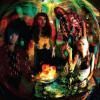 FAR-OUT FANGTOOTH / Borrowed Time (LP)<img class='new_mark_img2' src='https://img.shop-pro.jp/img/new/icons50.gif' style='border:none;display:inline;margin:0px;padding:0px;width:auto;' />