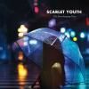 SCARLET YOUTH / The Everchanging View (CD)<img class='new_mark_img2' src='https://img.shop-pro.jp/img/new/icons50.gif' style='border:none;display:inline;margin:0px;padding:0px;width:auto;' />