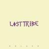 LOST TRIBE / Solace (LP)<img class='new_mark_img2' src='https://img.shop-pro.jp/img/new/icons50.gif' style='border:none;display:inline;margin:0px;padding:0px;width:auto;' />