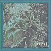 MASTON / Opal Collection (LP)<img class='new_mark_img2' src='https://img.shop-pro.jp/img/new/icons50.gif' style='border:none;display:inline;margin:0px;padding:0px;width:auto;' />