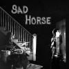 SAD HORSE / Greatest Hits (LP)<img class='new_mark_img2' src='https://img.shop-pro.jp/img/new/icons50.gif' style='border:none;display:inline;margin:0px;padding:0px;width:auto;' />