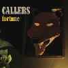 CALLERS / Fortune (CD)<img class='new_mark_img2' src='https://img.shop-pro.jp/img/new/icons50.gif' style='border:none;display:inline;margin:0px;padding:0px;width:auto;' />