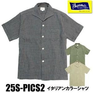 25S-PICS2
