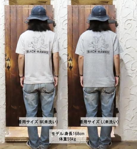 ウエアハウス WAREHOUSE Tシャツ Lot 4601 PLAINVILLE 半袖 ホークス