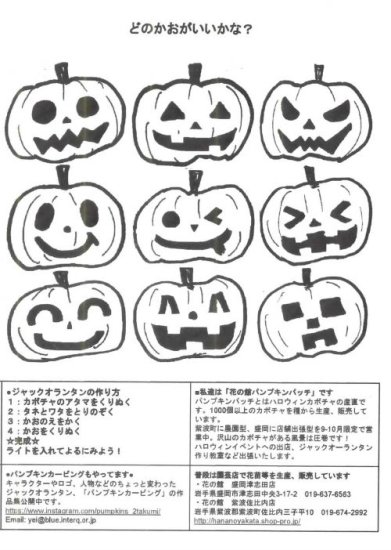 ハロウィン用カボチャ - 花の館webshop －フクシア100種、エンジェルス