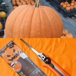 ハロウィンカボチャ 生産販売