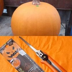 ハロウィンカボチャ 生産販売